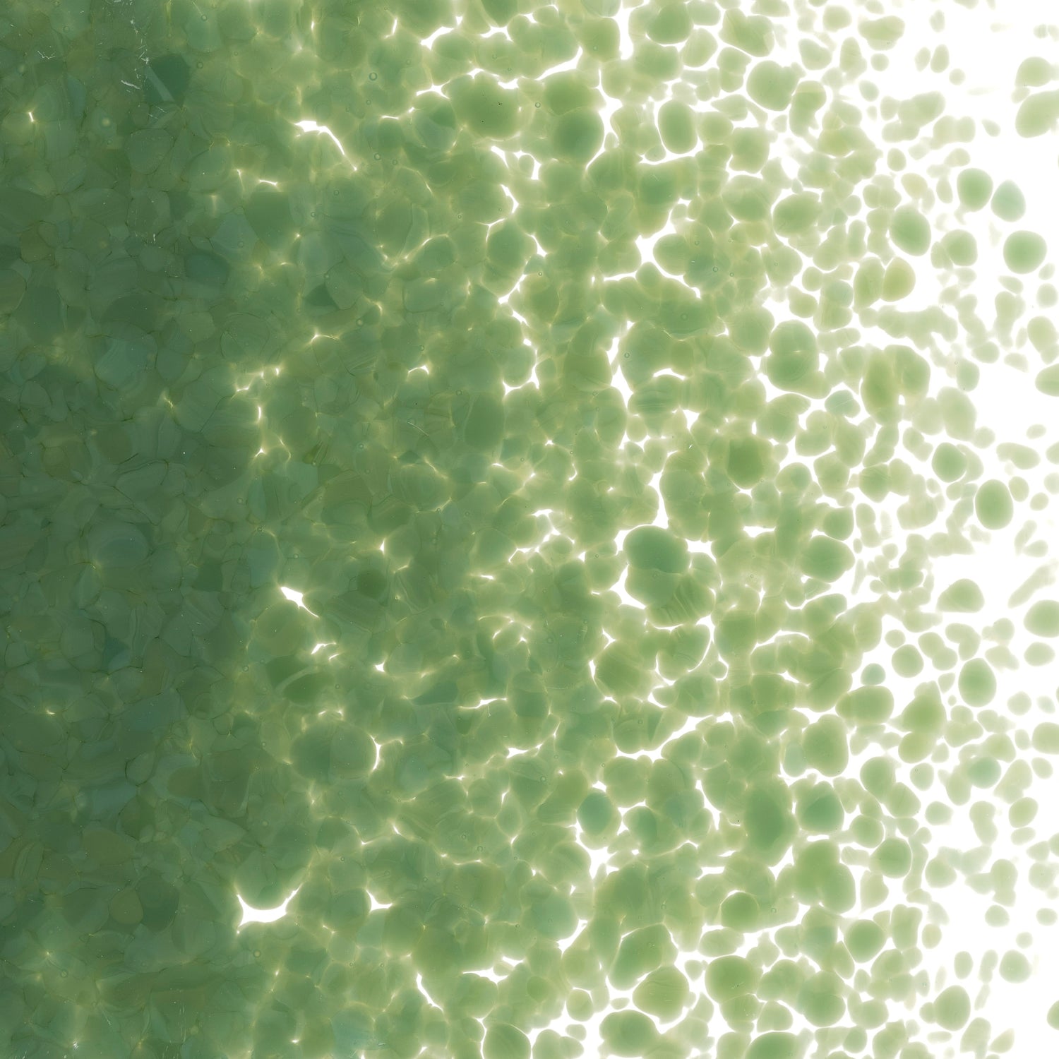 90 Frit Opal Medium Dark Forest Green