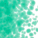 90 Frit Transparent Coarse Emerald Green