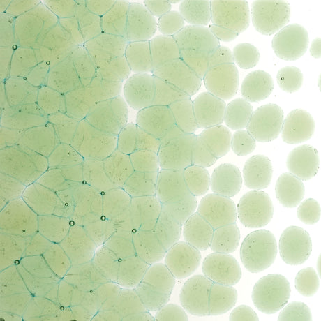 90 Frit Transparent Coarse Leaf Green