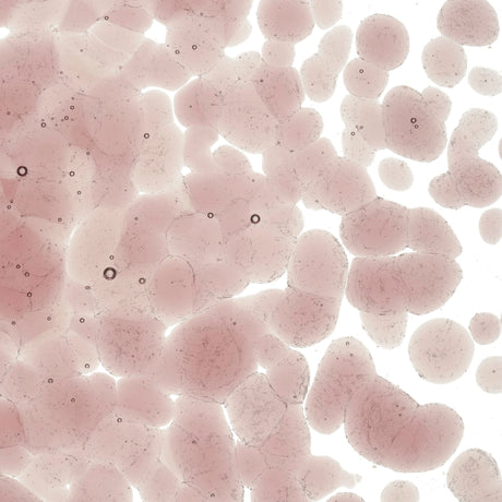 90 Frit Transparent Coarse Light Plum