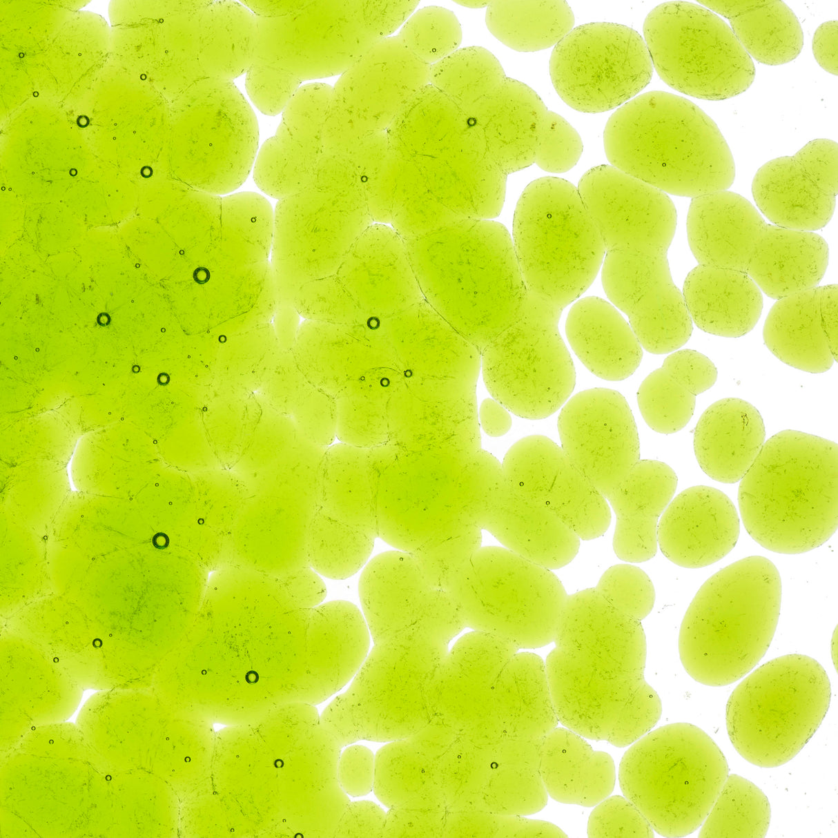 90 Frit Transparent Coarse Spring Green