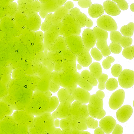 90 Frit Transparent Coarse Spring Green
