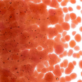 90 Frit Transparent Coarse Sunset Coral