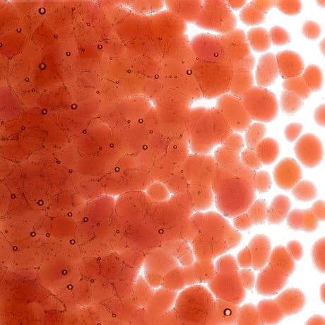 90 Frit Transparent Coarse Sunset Coral