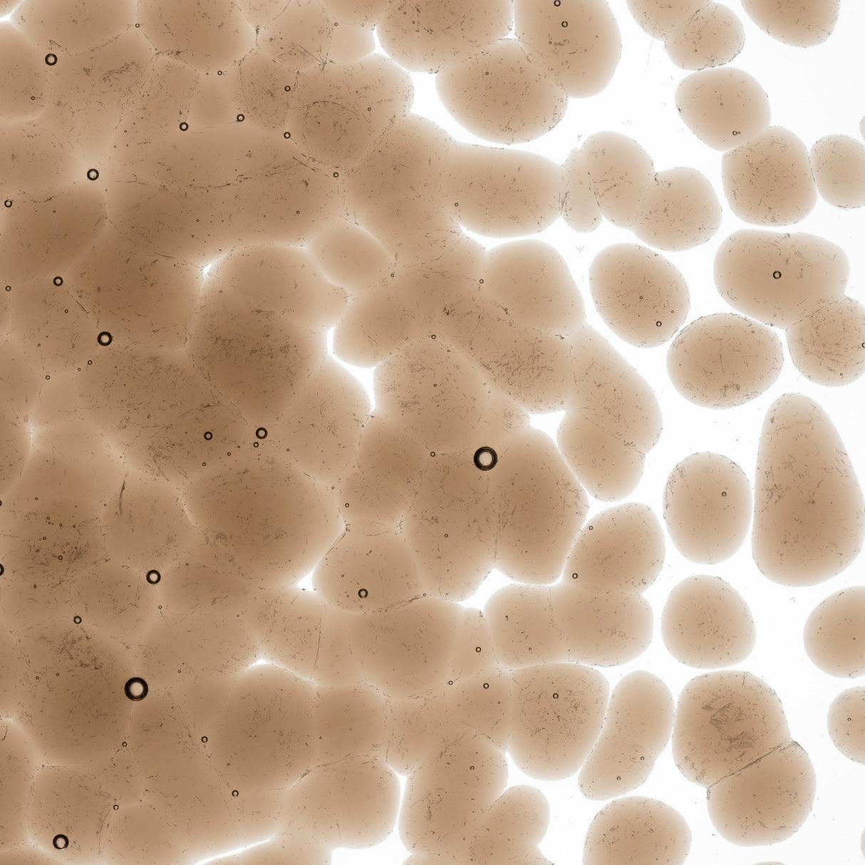 90 Frit Transparent Coarse Tan