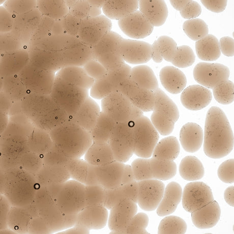 90 Frit Transparent Coarse Tan