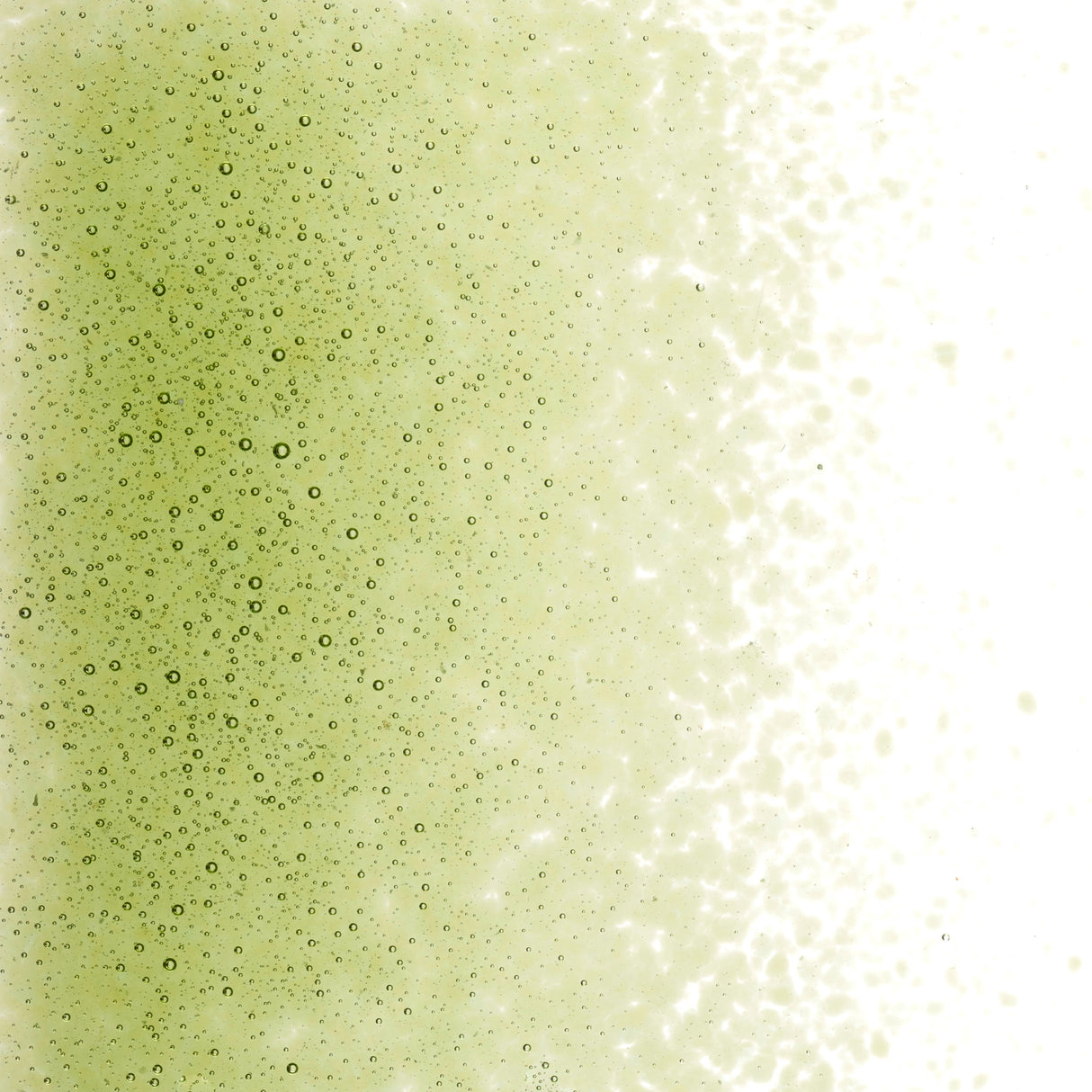 90 Frit Transparent Fine Fern Green