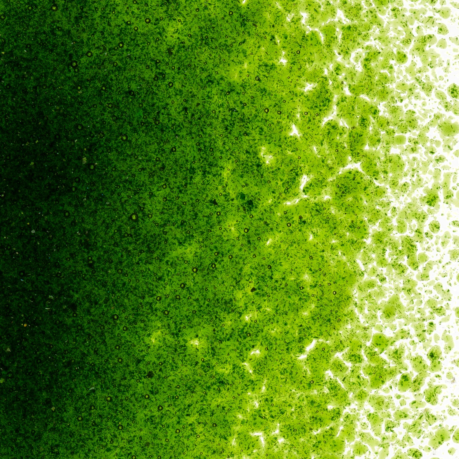 90 Frit Transparent Fine Light Green Aventurine