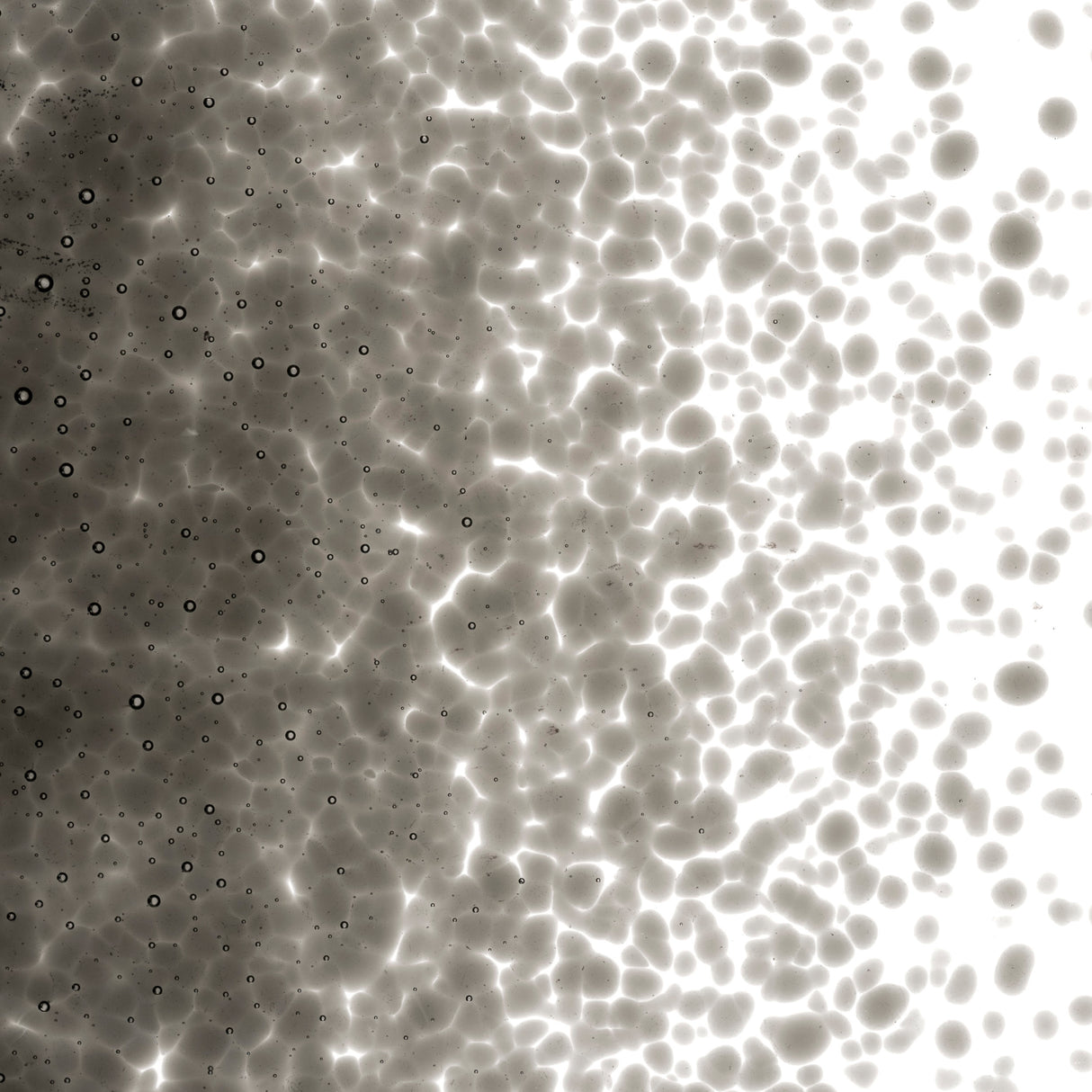 90 Frit Transparent Medium Charcoal Gray