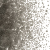 90 Frit Transparent Medium Charcoal Gray