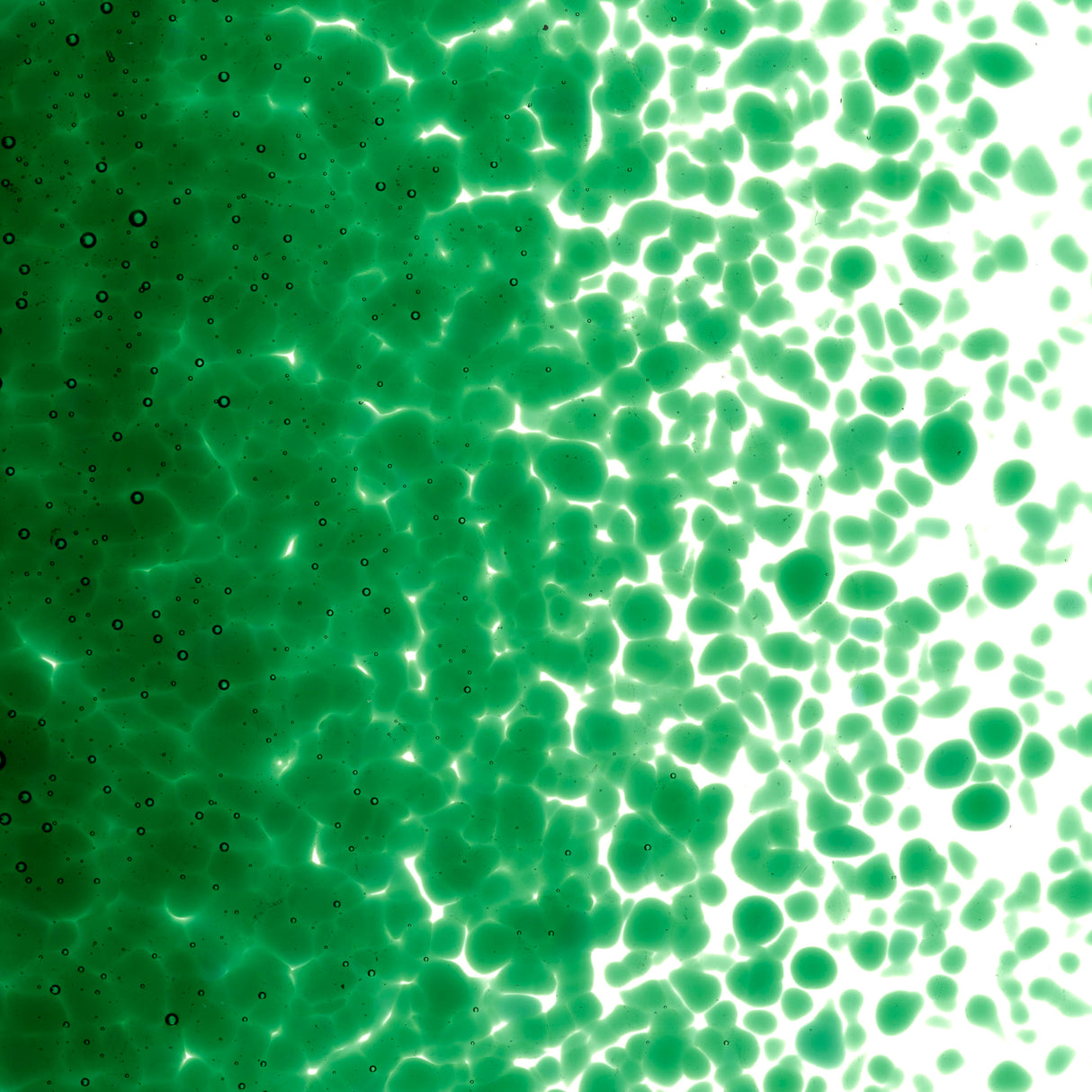 90 Frit Transparent Medium Kelly Green