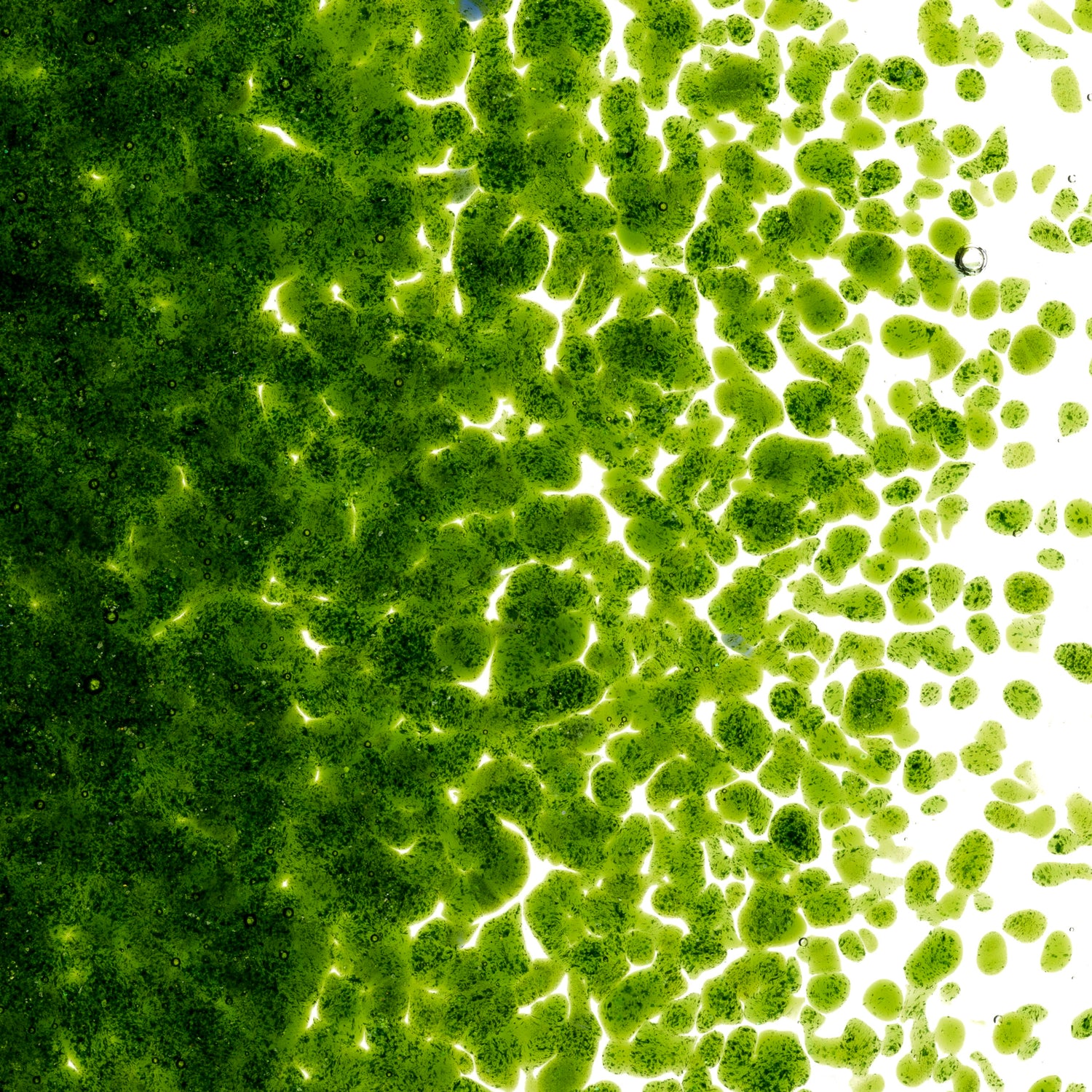 90 Frit Transparent Medium Light Aventurine Green