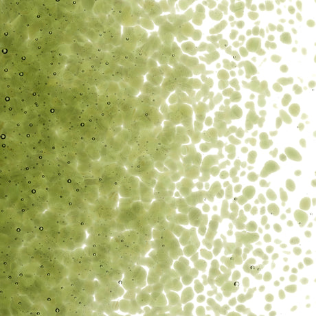 90 Frit Transparent Medium Pine Green