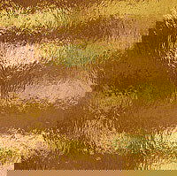 96 COE Medium Amber Rough Rolled - Stained Glass Express 