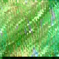 96 COE Pale Green, White Wispy - Stained Glass Express 