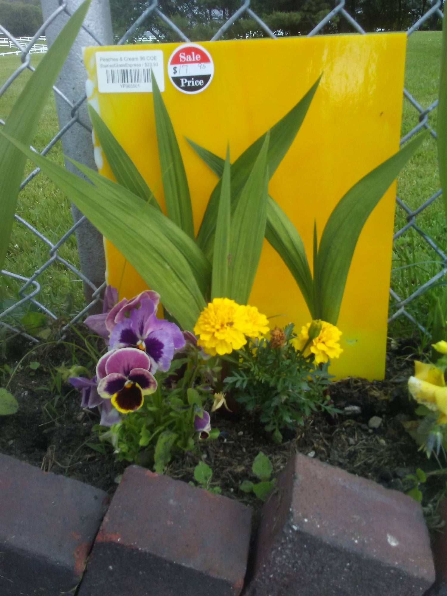 96 COE Peaches & Cream - Stained Glass Express 