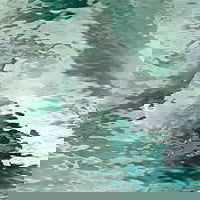 96 COE Sea Green Waterglass - Stained Glass Express 