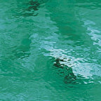 96 COE Teal Green Waterglass - Stained Glass Express 