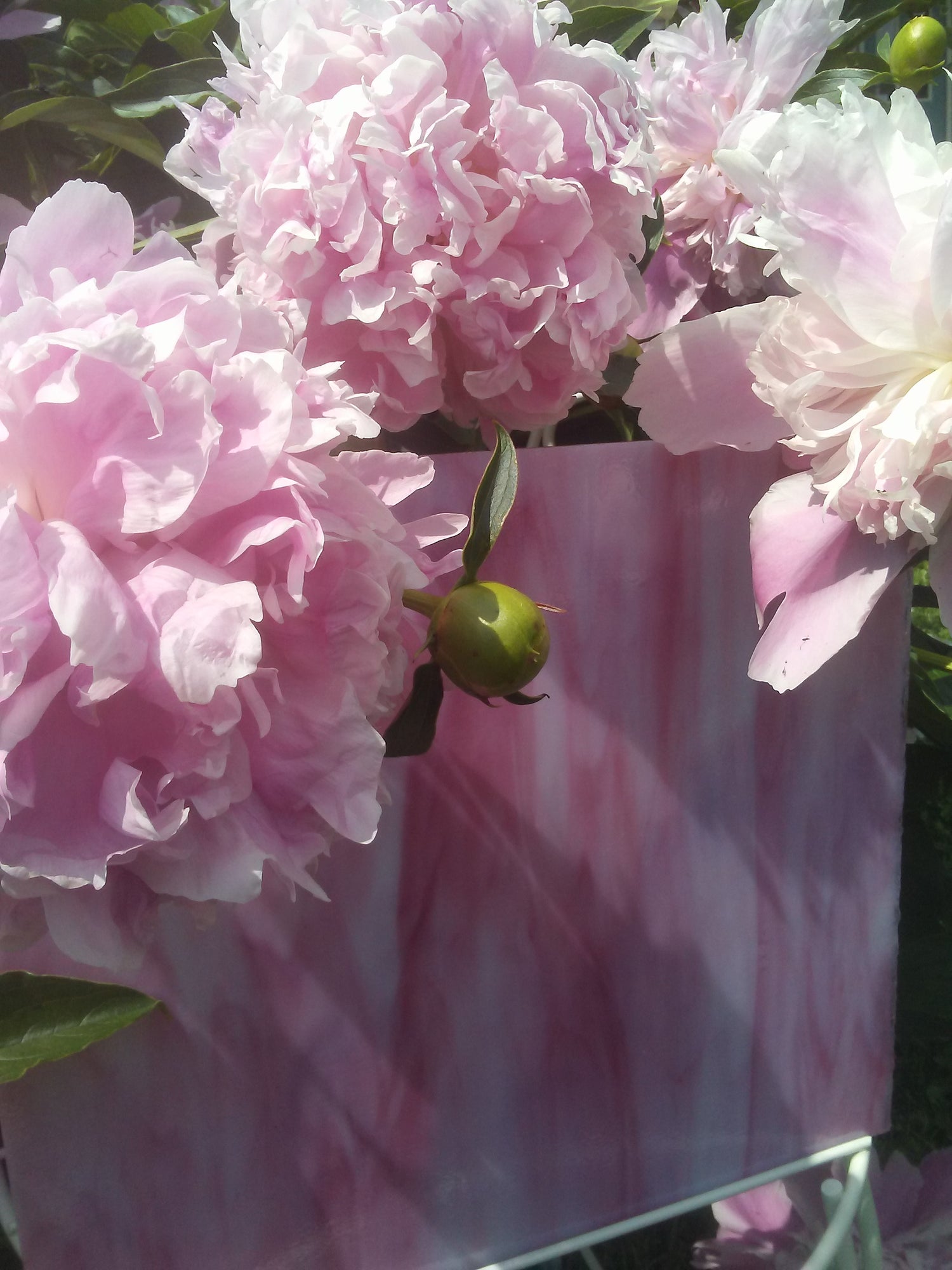 96 COE White, Gold Pink Opal