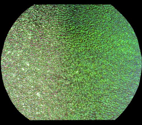 96 Coe Clear Under Emerald Rip Dichroic - Stained Glass Express 