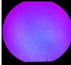 96 Coe Dichroic Black Under Magenta Blue - Stained Glass Express 