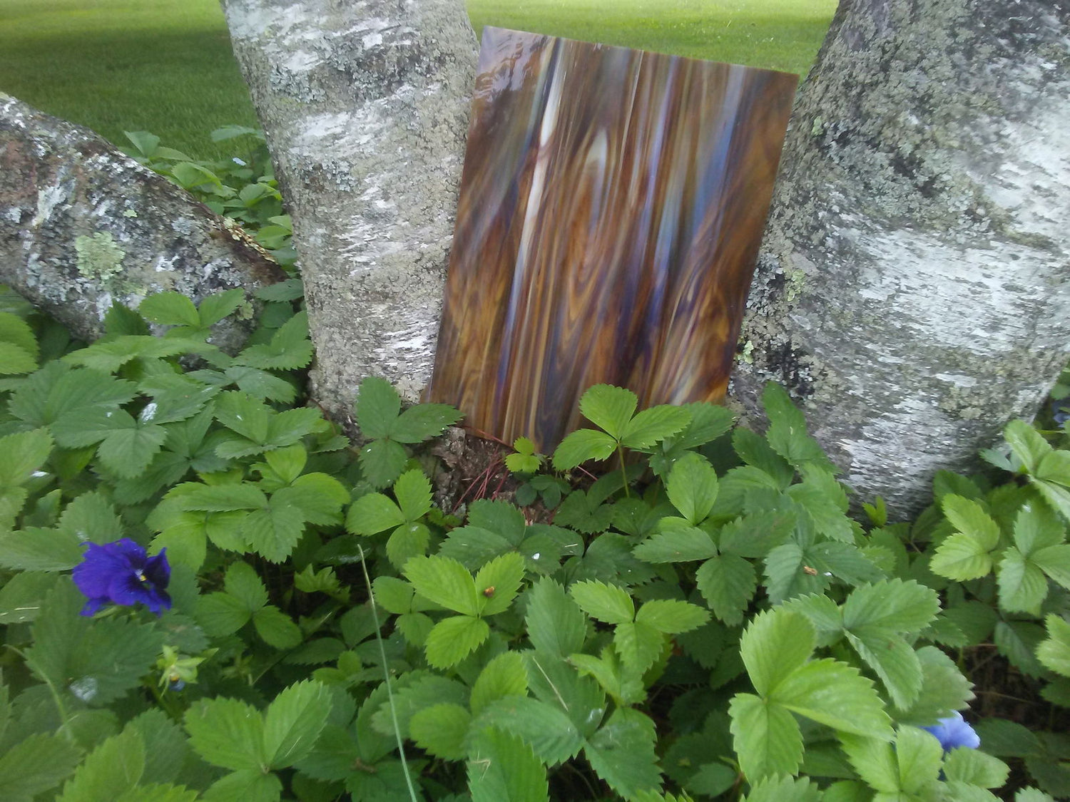 96 Coe Dk Amber w/ White Wispy - Stained Glass Express 