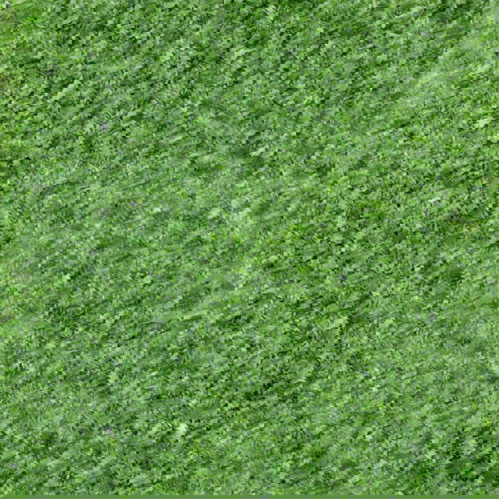 96 Coe Frit Opal Medium 8oz. - Stained Glass Express 