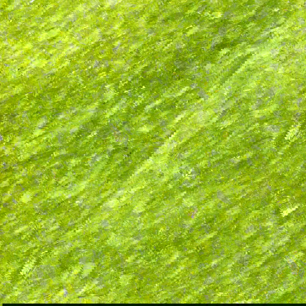 96 Coe Frit Transparent Coarse 8oz. - Stained Glass Express 