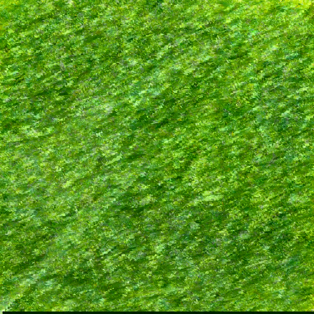 96 Coe Frit Transparent Medium 8oz. - Stained Glass Express 