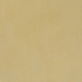 96 Coe Frit Transparent Powder 8oz. - Stained Glass Express 