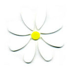 96 Coe Precut Daisy White - Stained Glass Express 
