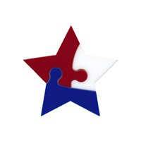 96 Coe Precut Puzzle Star ltd - Stained Glass Express 