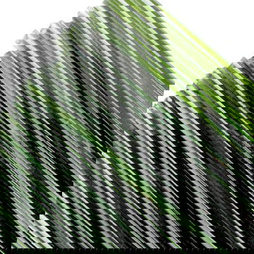 96 Coe Rods Transparent - Stained Glass Express 