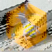 Amber Honey Bee Ornament - Stained Glass Express 