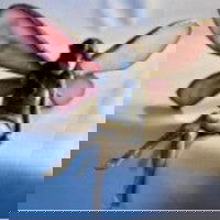 April Fairy Casting - Stained Glass Express 