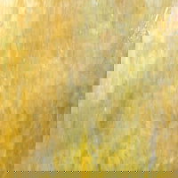 Artisan Honey Amber, White Irid - Stained Glass Express 