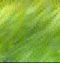 Artisan Rich Olives w/ White - Stained Glass Express 