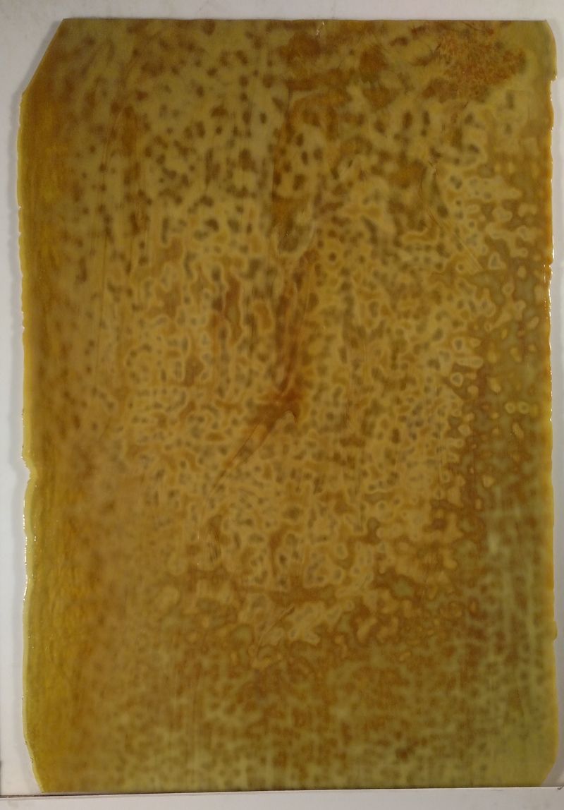 Autumn Gold, Silver, & Yellow - Stained Glass Express 