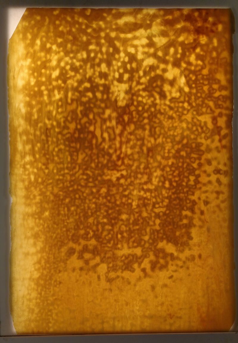 Autumn Gold, Silver, & Yellow - Stained Glass Express 