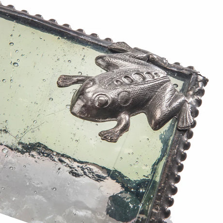 Box Green Frog