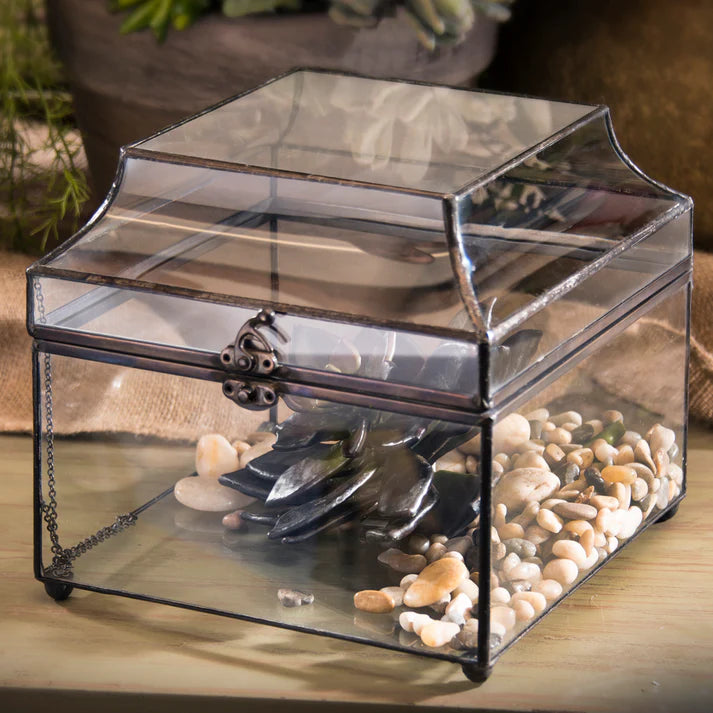 BOX, CLEAR DISPLAY CASE