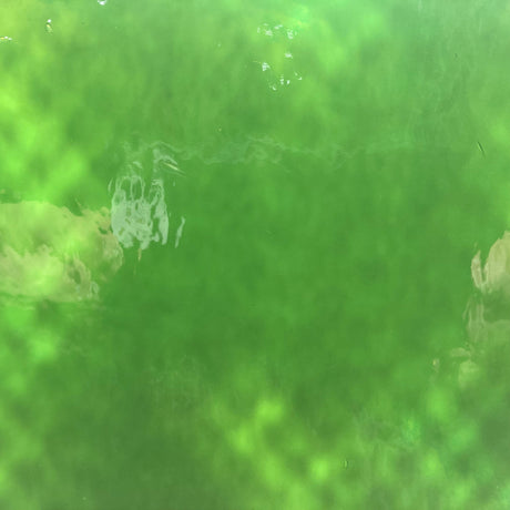 90 COE Forest Green Opal
