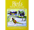 Birds of North America Volume 2 - Stained Glass Express 