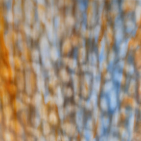 Blue, White, Orange Flemish