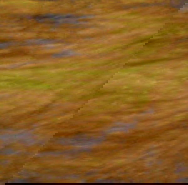 Brown Amber Streaky Granite - Stained Glass Express 