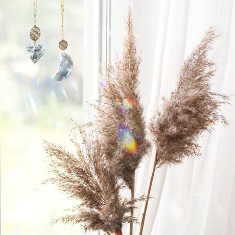 Suncatcher Sunface