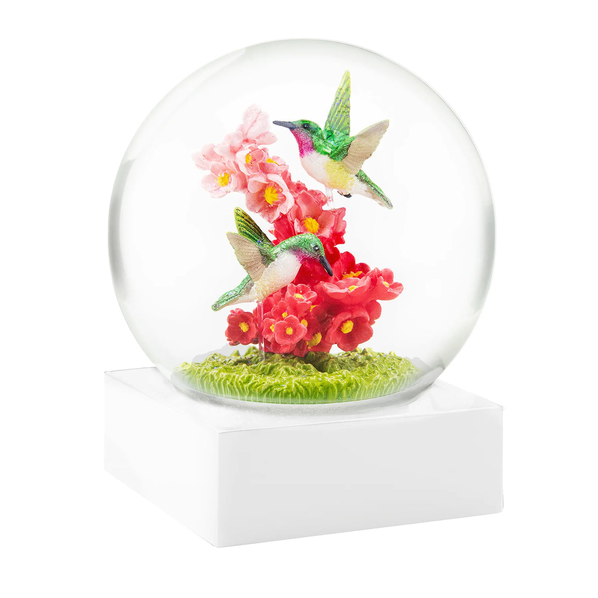 Snow Globe Hummingbird