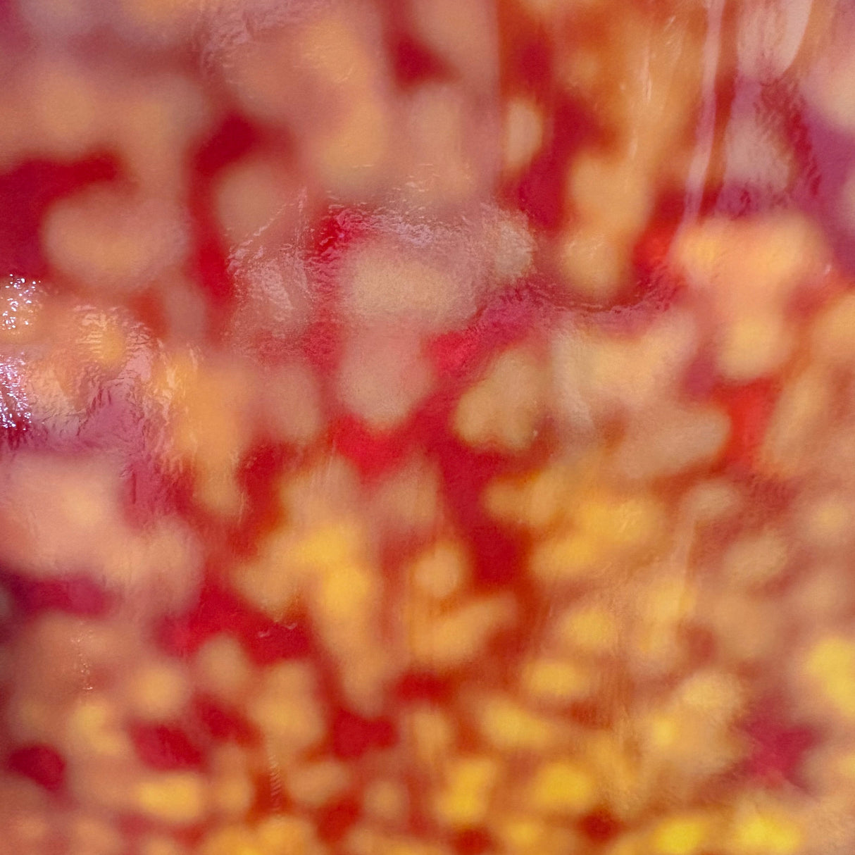 Cadmium Orange Oceana