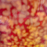 Cadmium Orange Oceana