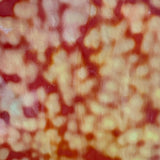 Cadmium Orange Oceana
